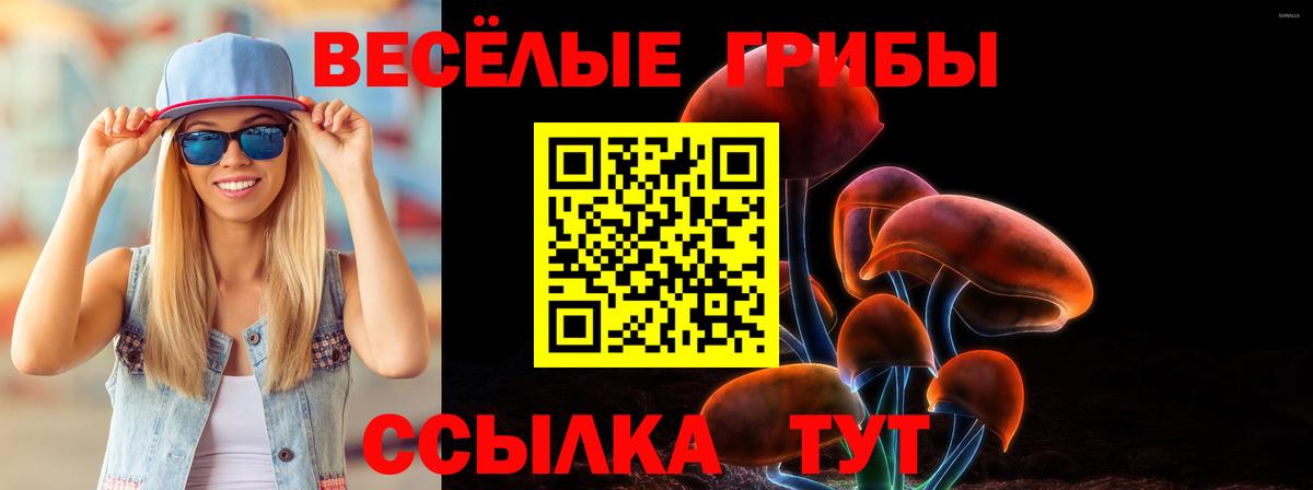 Галлюциногенные грибы MAGIC MUSHROOMS  Вход с VPN  Зеленокумск 