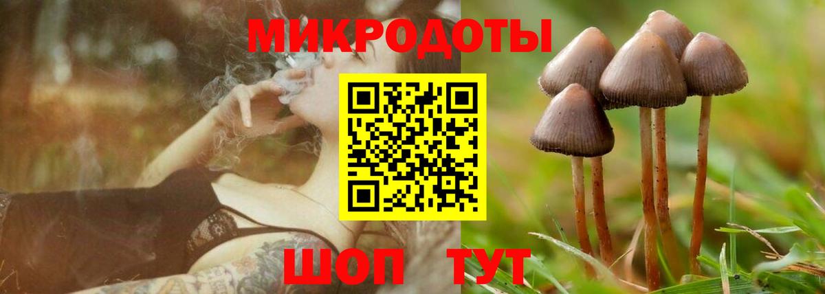 Галлюциногенные грибы Cubensis Зеленокумск